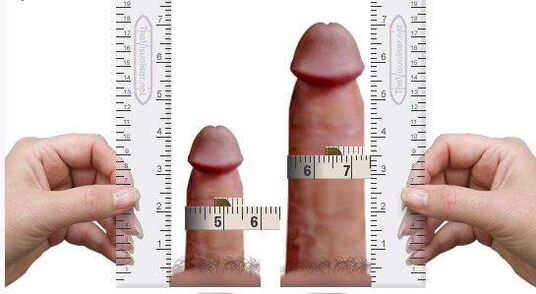 mjerenje penisa za i nakon povećanja kod kuće